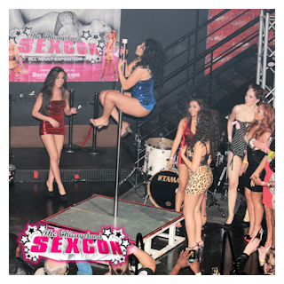 Pole dancing at the Chicago Sexcon.